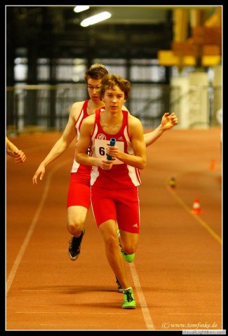 westf_halle_12_sch_36