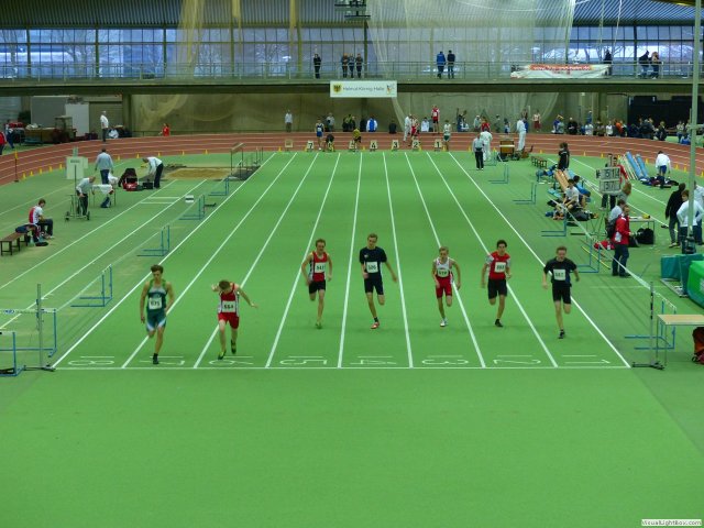 westf_halle_13_jg_22