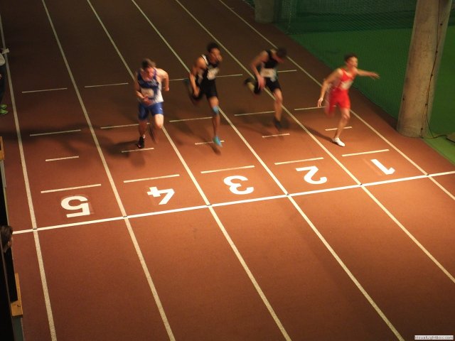 westf_halle_15_u20148