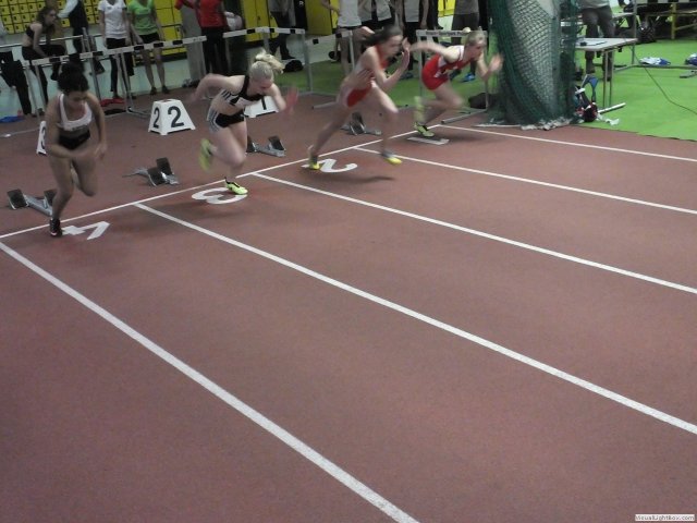 westf_halle_15_u2084