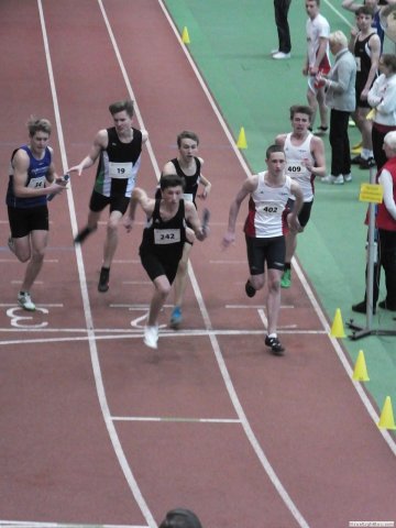 westf_halle_15_u1895